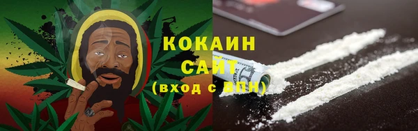 гашик Новозыбков