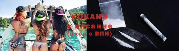 гашик Новодвинск