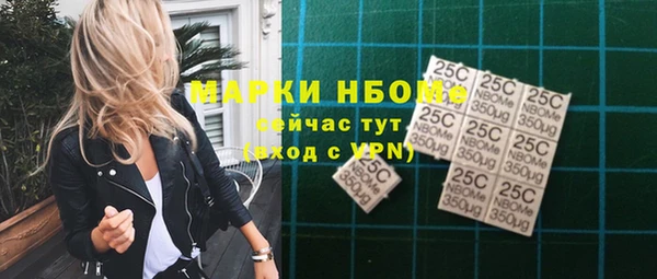 гашик Новозыбков